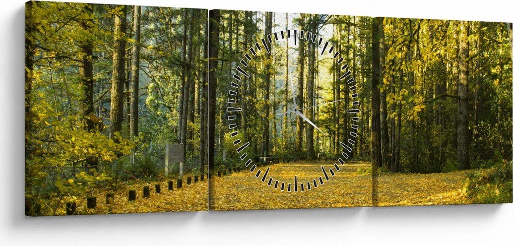Obraz - las jesienią (z zegarem) (90x30 cm)