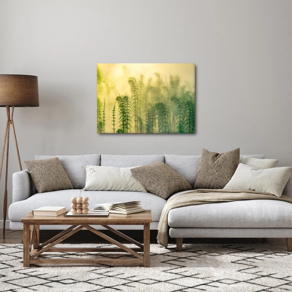 Obraz - Szczegół wiosennej mglistej przyrody (70x50 cm)