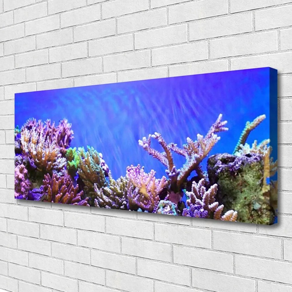 Obraz canvas Podwodny Świat Rafy Koralowej