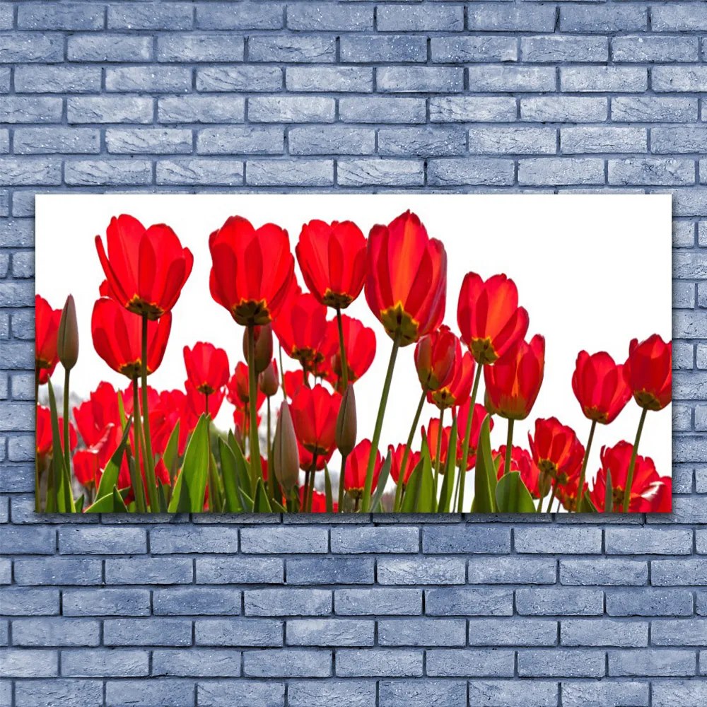 Fotoobraz na płótnie Pastelowy Ogród na Ścianę