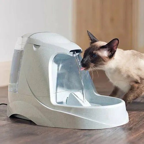 PetSafe® Platinum Fontanna 5 l