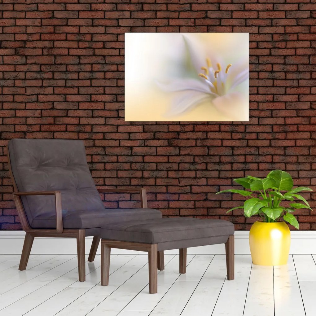 Obraz - Delikatny kwiat (70x50 cm)