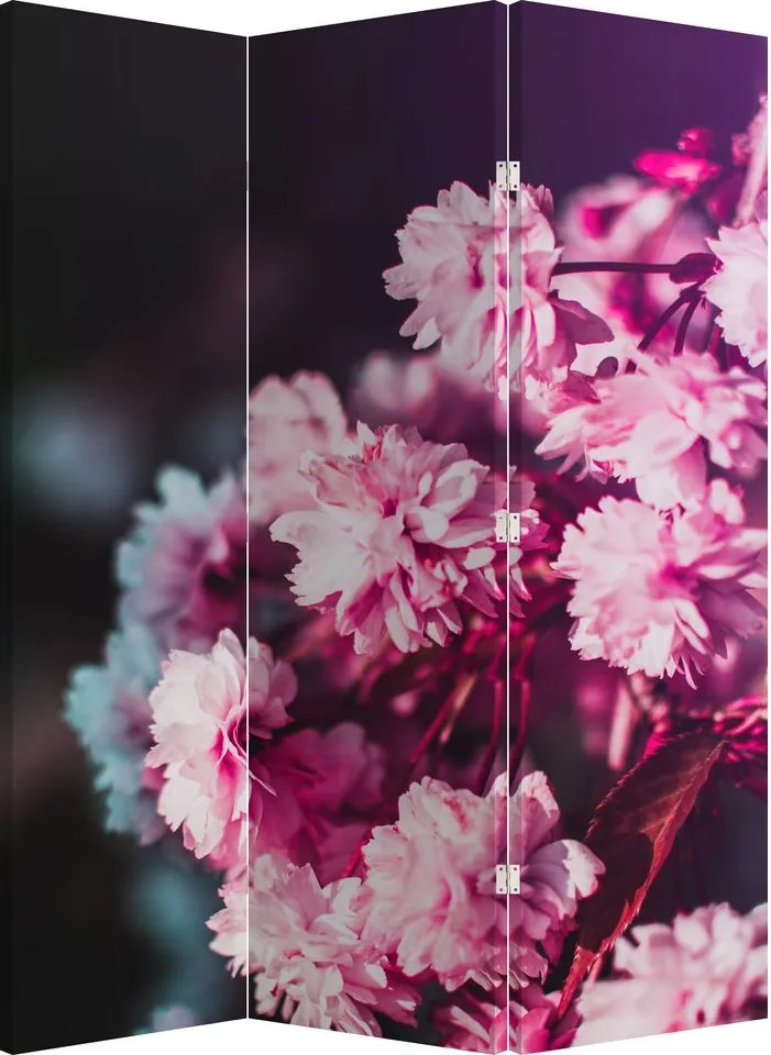 Parawan - Kwiat drzewa (126x170 cm)