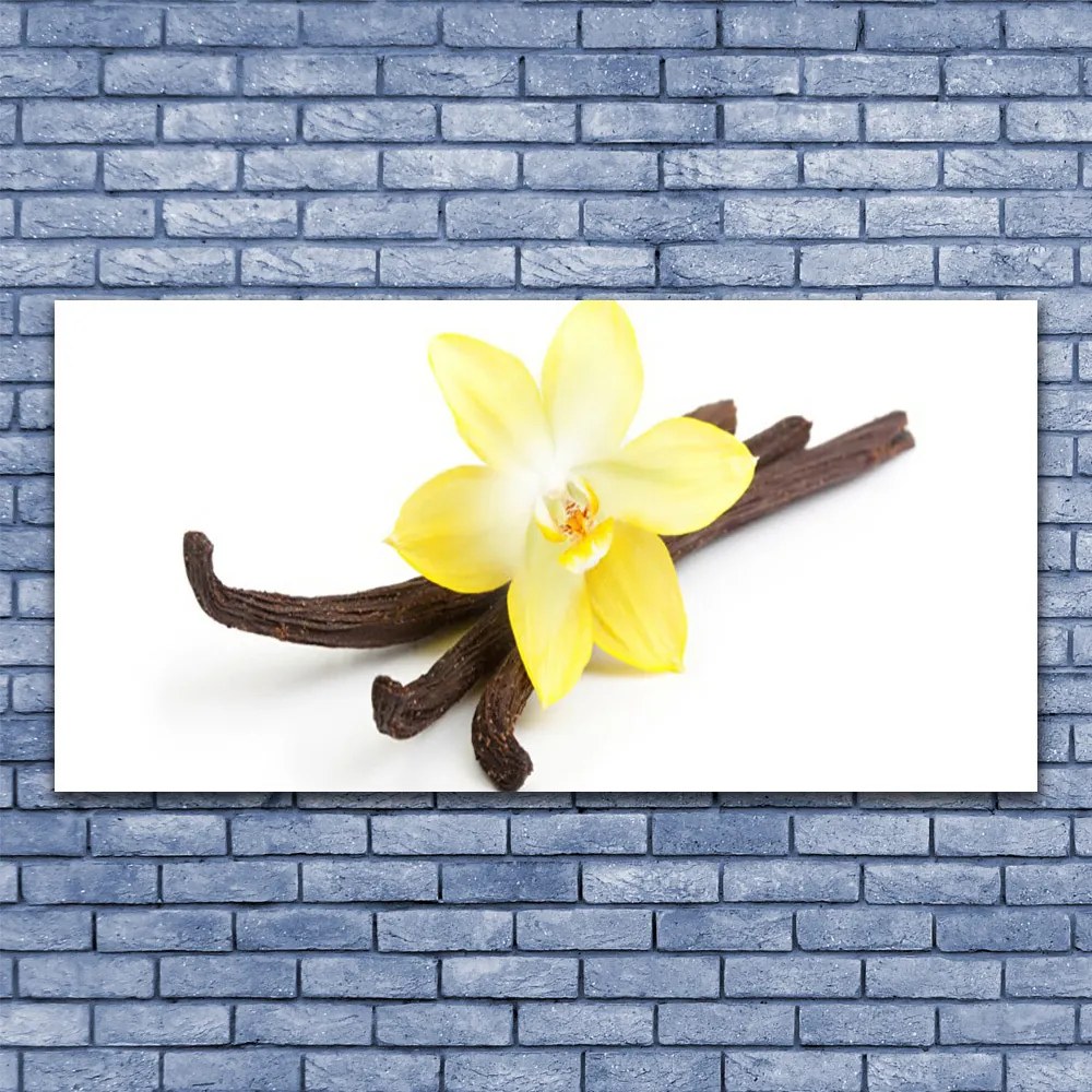 Obraz canvas Egzotyczny Kwiat Wanilii
