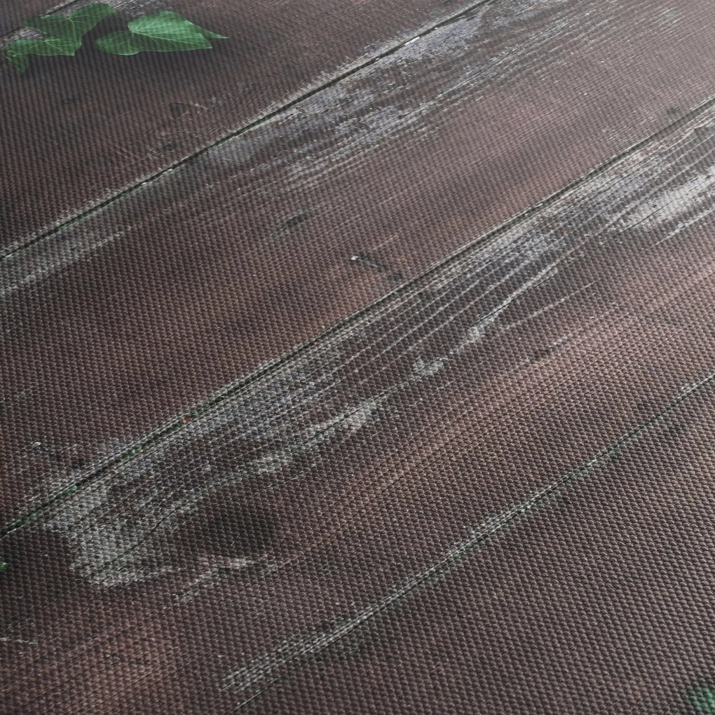 Obraz - Bluszcz (125x70 cm)