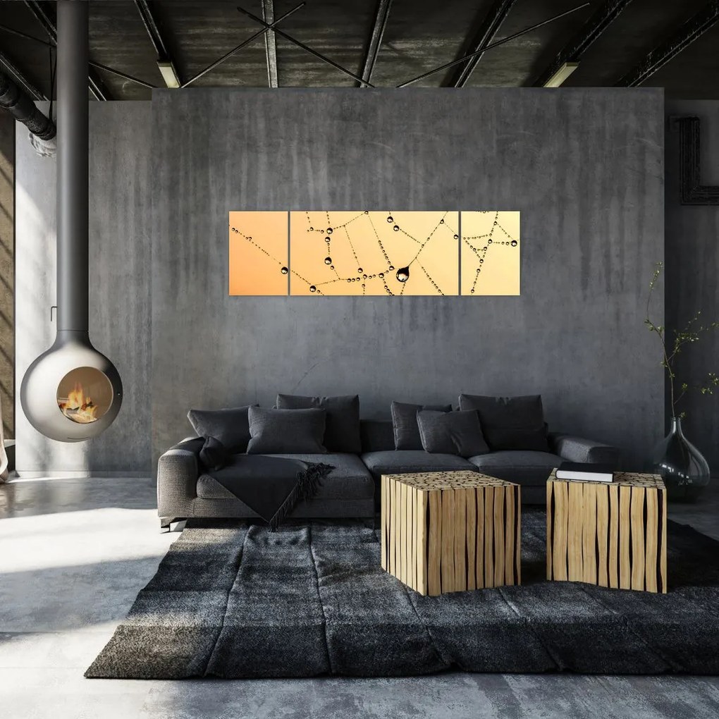 Obraz zroszonej pajęczyny (170x50 cm)