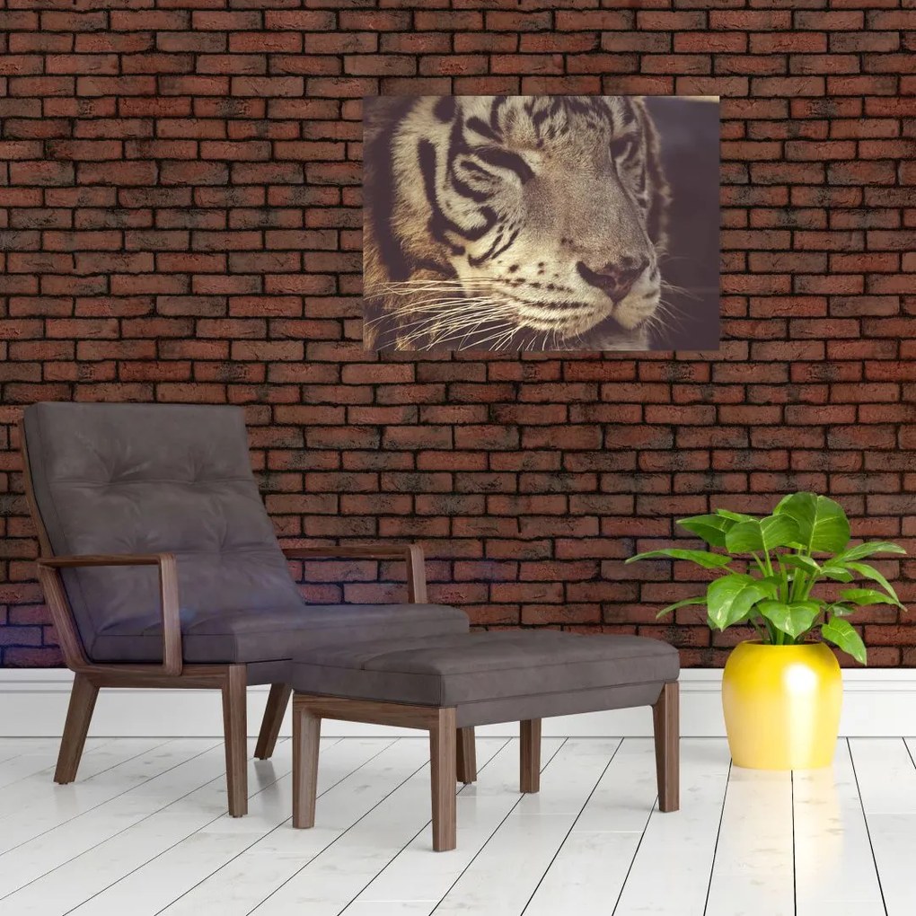 Obraz na szkle tygrysa (70x50 cm)