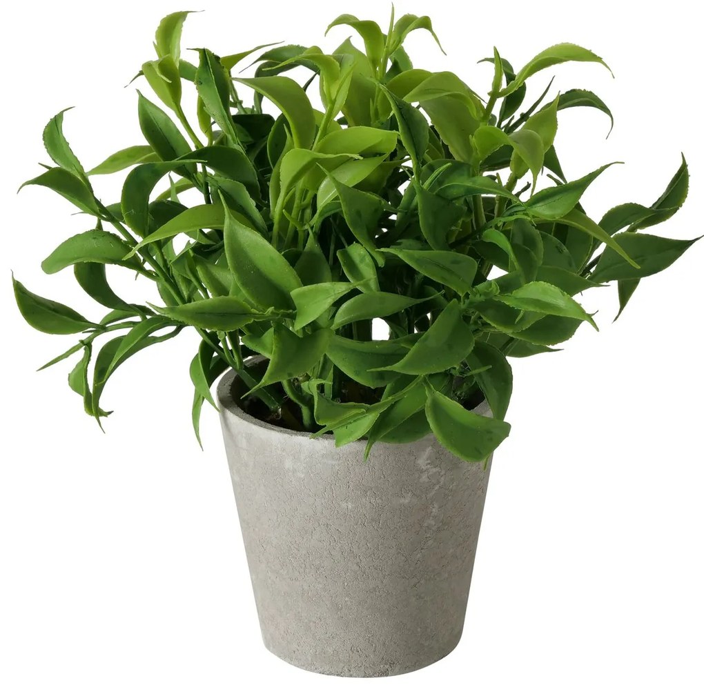 Sztuczna roślina w cementowej doniczce FERN, 17 cm