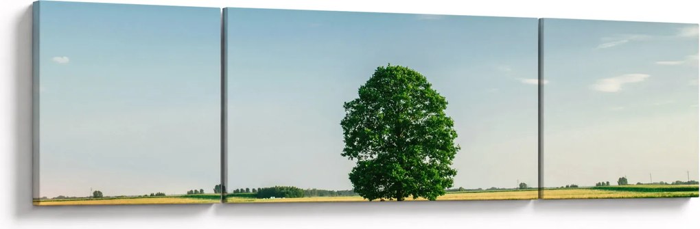 Obraz drzewa na łące (170x50 cm)