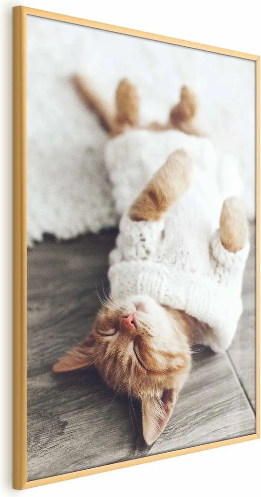 Plakat Leniwy kot 40x60 cm z ramą złotą bez marginesu ARTGEIST B