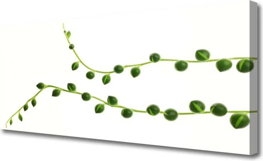 Zdjęcie na płótnie Stylowa Roślina Dekoracyjna