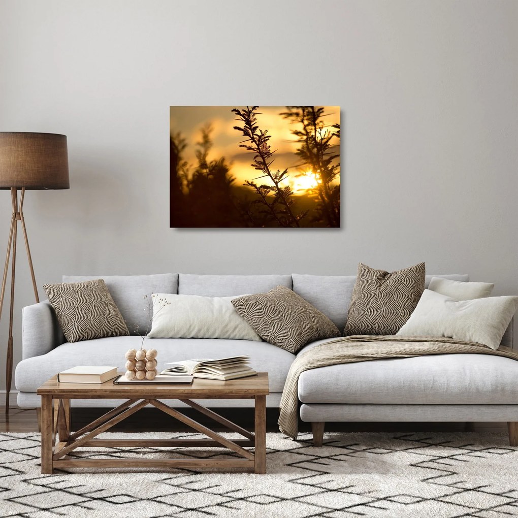 Obraz na szkle - słońce zachodzące za drzewami (70x50 cm)