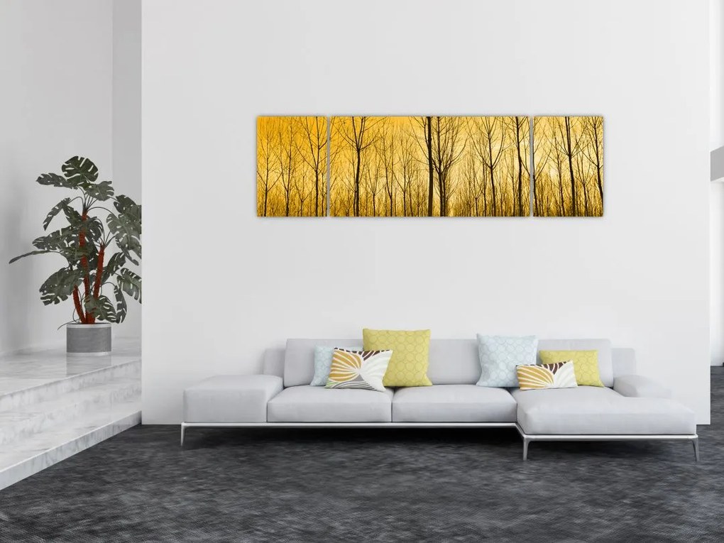 Obraz lasu o zachodzie słońca (170x50 cm)