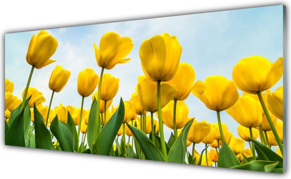 Panel Szklany Pole Tęczowych Tulipanów