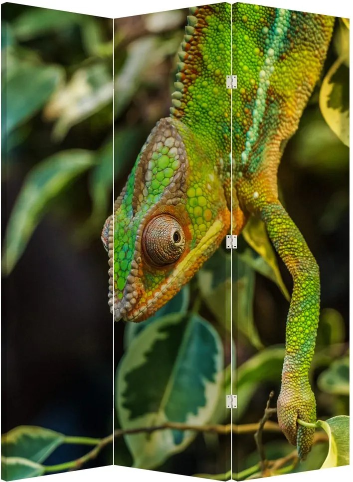 Parawan - Kameleon (126x170 cm)