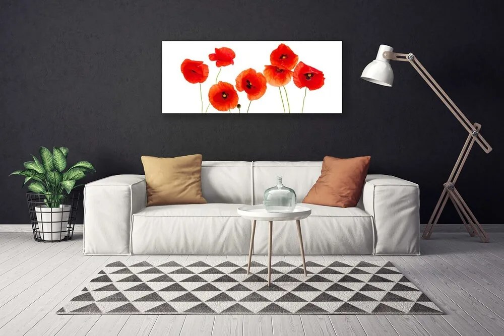 Obraz Canvas Maki Roślina Natura