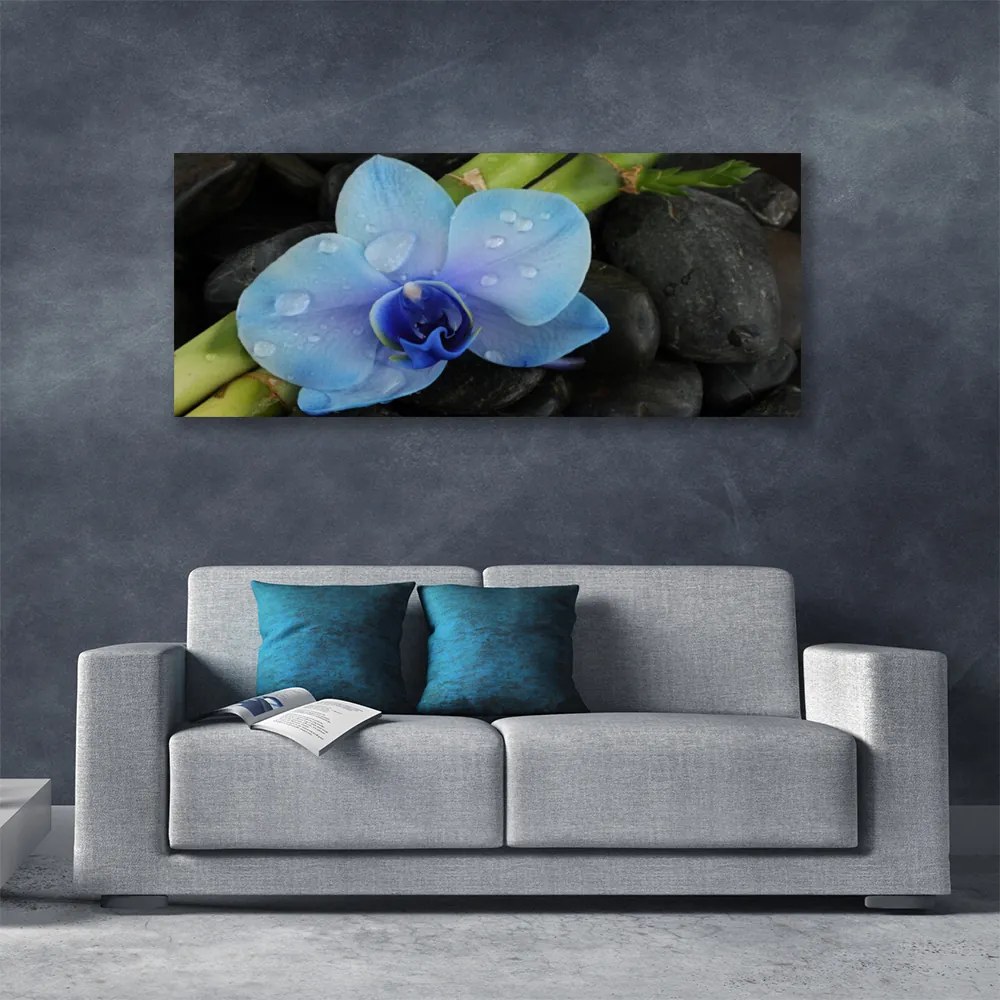 Obraz na płótnie Kwiatowa Harmonia na Kamieniach