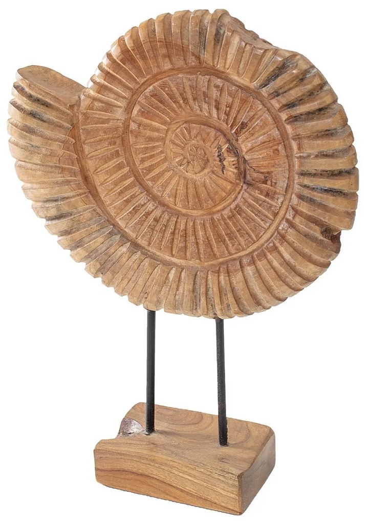 Dekoracja Fossil 45 cm