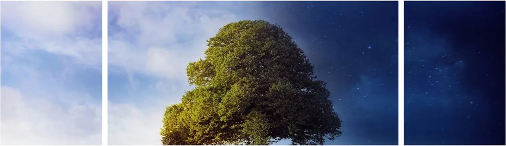 Obraz - Dzień i noc (170x50 cm)