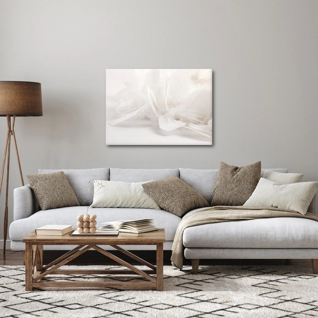 Obraz - Pióro (70x50 cm)