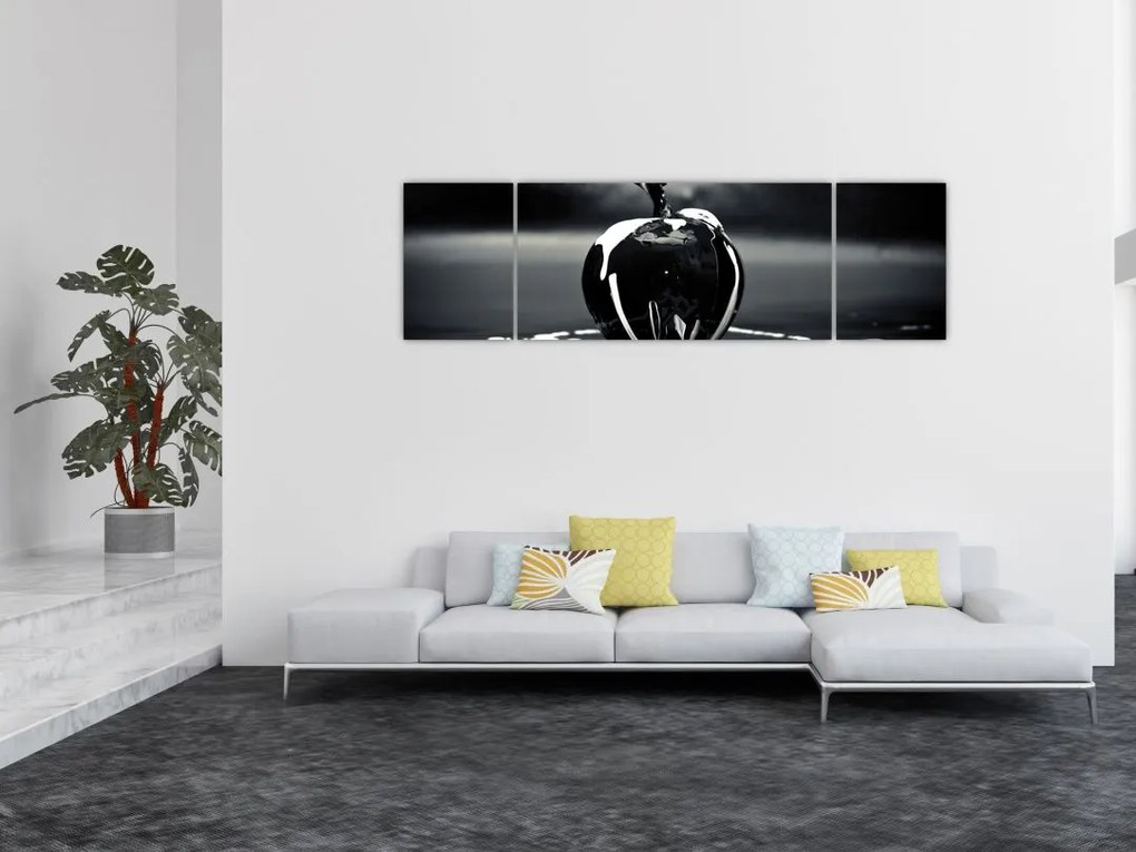 Obraz czarnego jabłka (170x50 cm)
