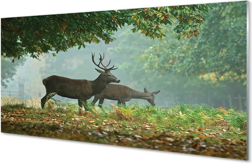 Panel nad Blat Kuchenny Jeleń w Jesiennej Aurze