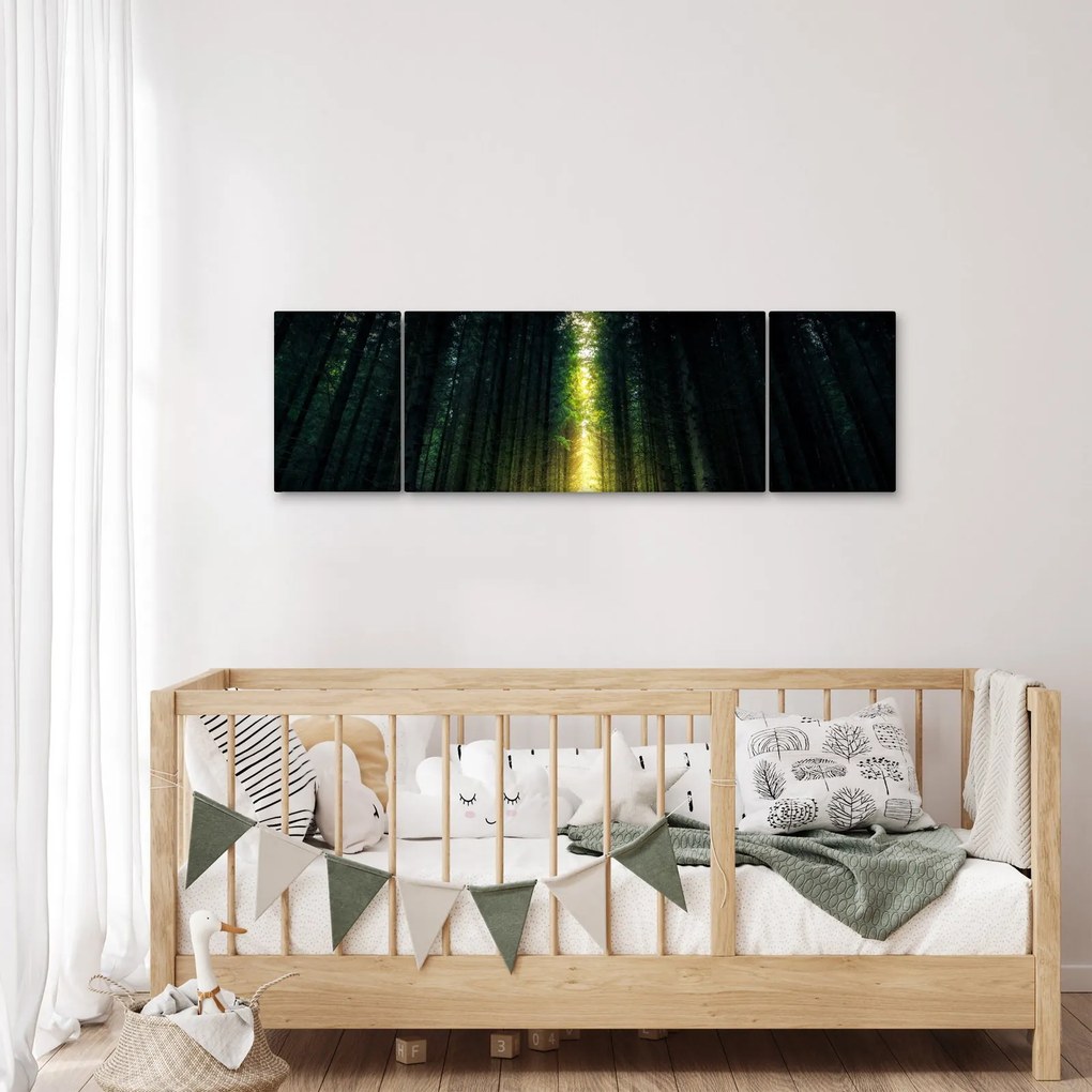 Obraz ciemnego lasu (170x50 cm)