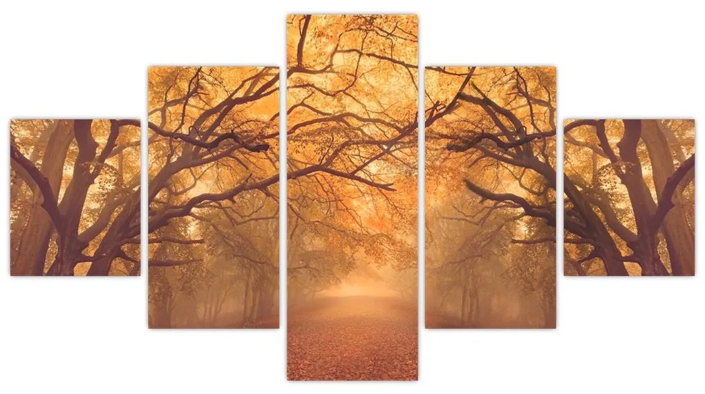 Obraz drogi w jesiennym krajobrazie (125x70 cm)