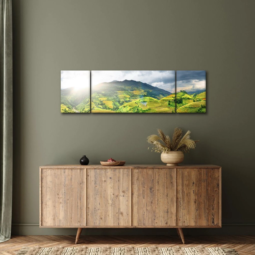 Obraz plantacji (170x50 cm)