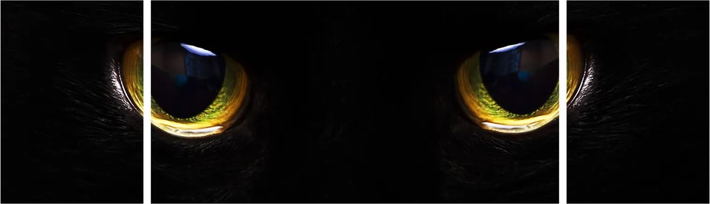 Obraz - Kocie oczy (170x50 cm)