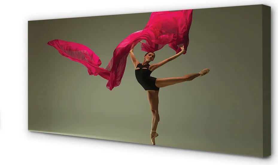 Zdjęcie na płótnie Baletnica z Różowym Materiałem