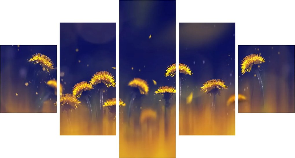 Obraz - Dmuchawce (125x70 cm)