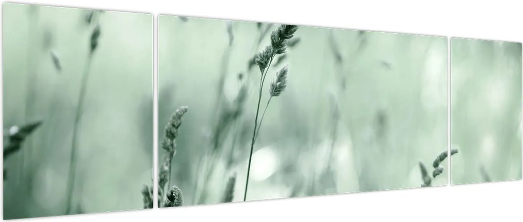 Obraz - Zielona łąka (170x50 cm)