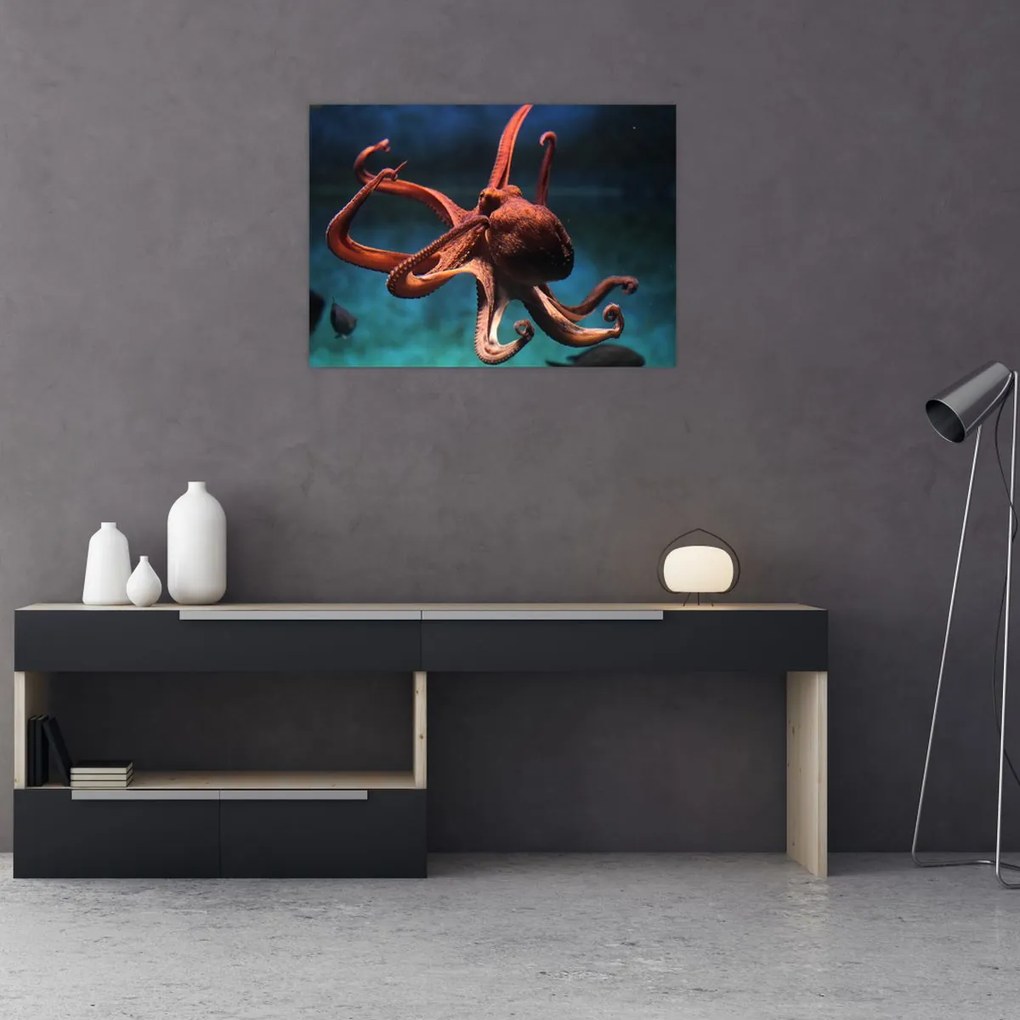 Obraz na szkle - Ośmiornica (70x50 cm)