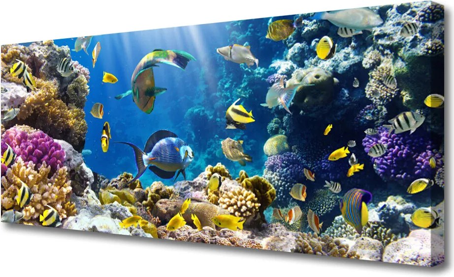 Duży obraz na płótnie Kolorowa Rafa Koralowa