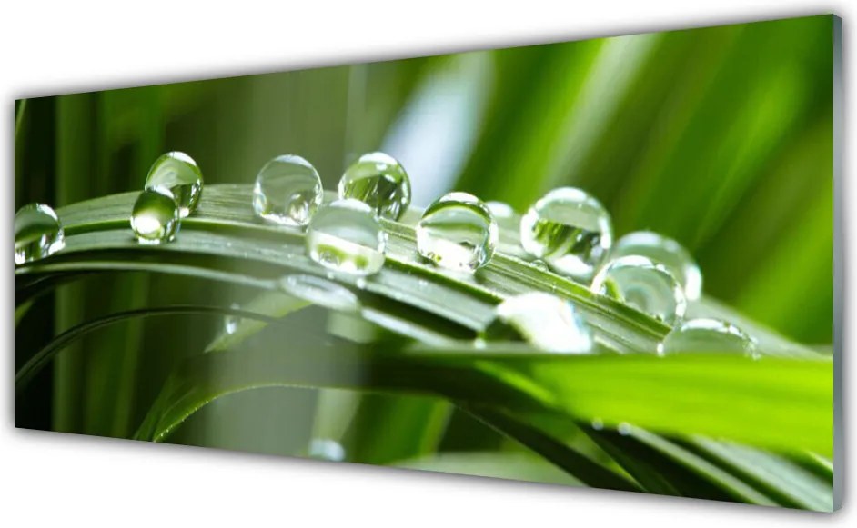 Panel Szklany do Kuchni Krople Rosy na Źdźbłach