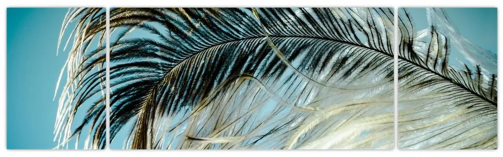 Obraz pióra (170x50 cm)