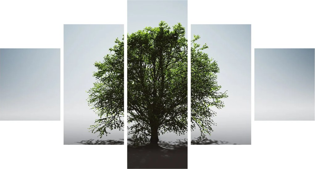 Obraz - Samotne drzewo (125x70 cm)
