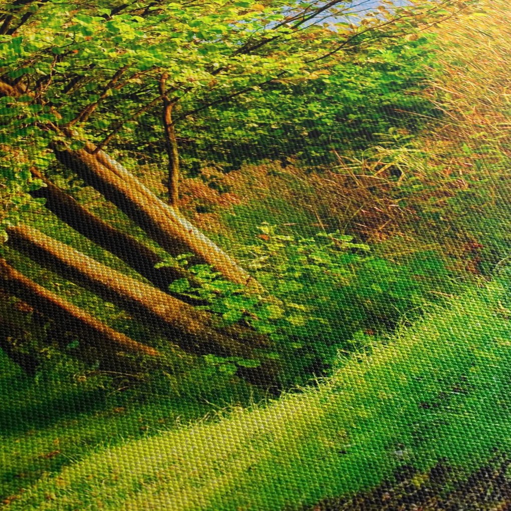 Obraz szlaku wzdłuż wody (z zegarem) (90x30 cm)