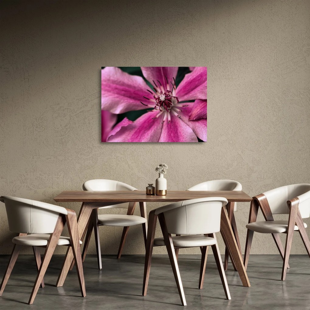Obraz na szkle różowego kwiatu powojnika (70x50 cm)