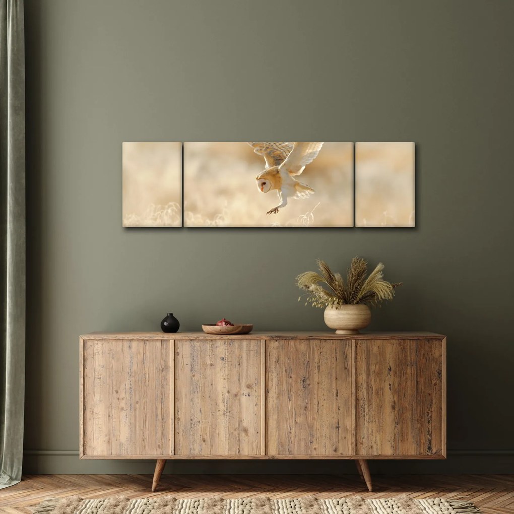 Obraz - Sowa Płomykówka (170x50 cm)