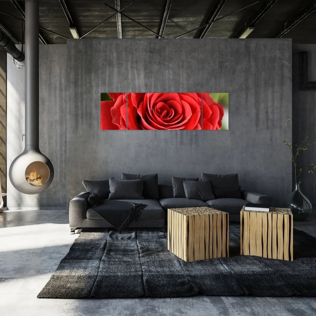 Obraz kwiatu róży (170x50 cm)