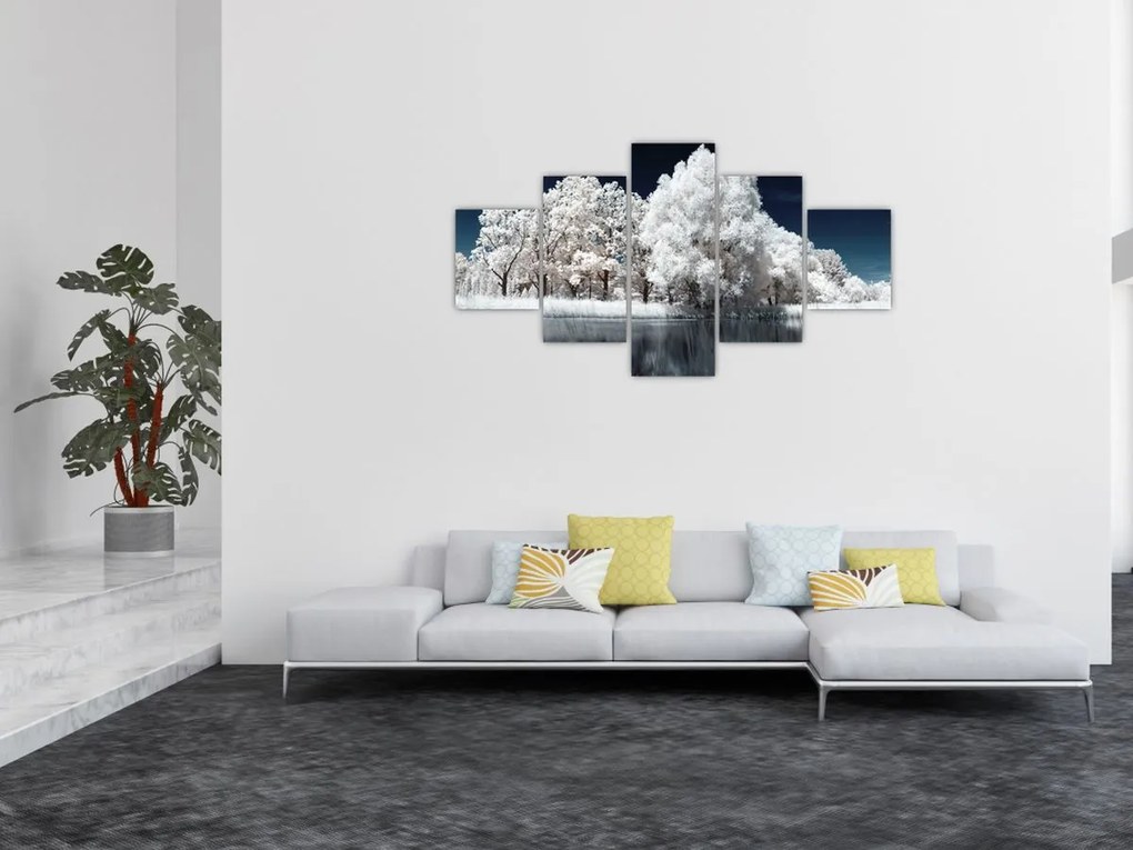 Obraz - Śnieżnobiałe drzewa (125x70 cm)