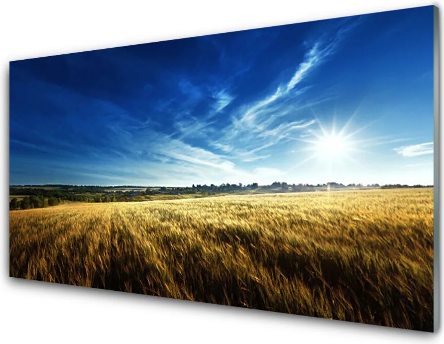 Szkło Ozdobne do Kuchni Słoneczne Łany Zboża