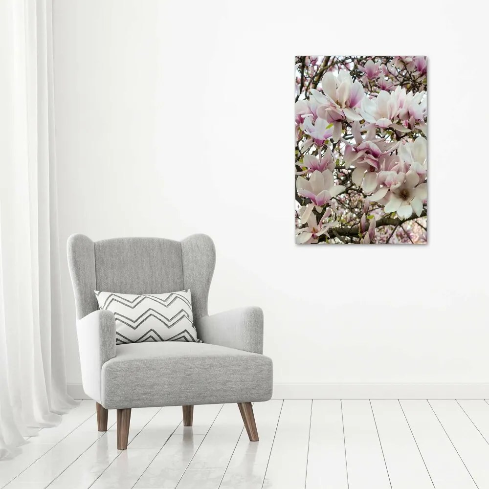 Foto obraz na szkle Kwiaty magnolii