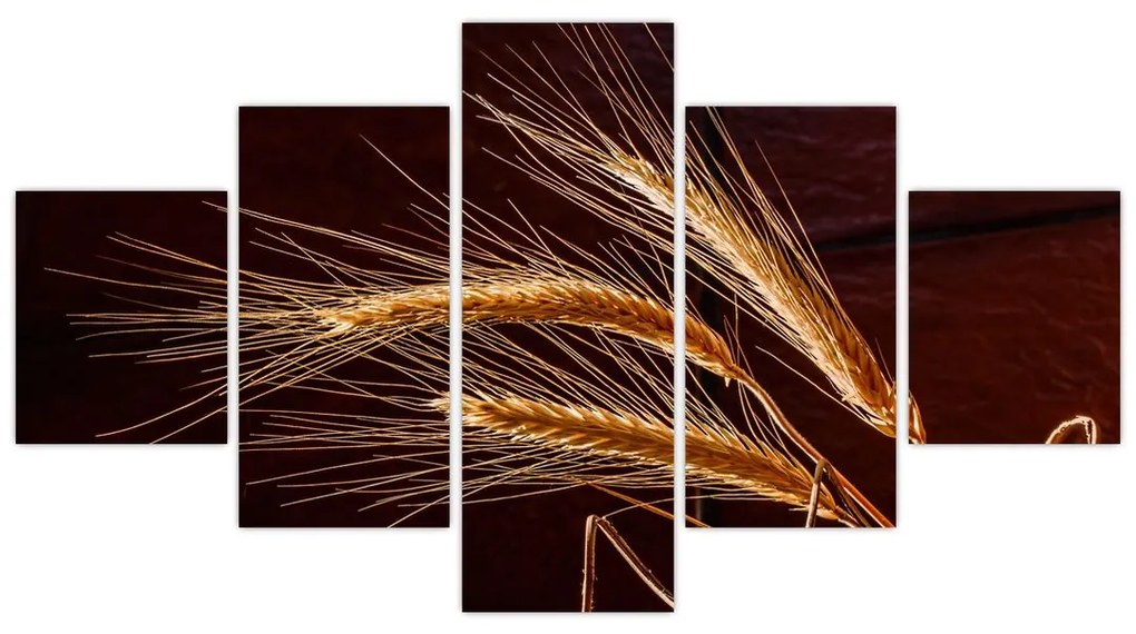Obraz - Fragment kłosa żyta (125x70 cm)