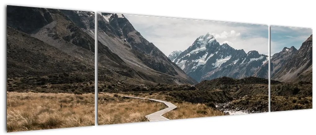 Obraz - Chodnik w dolinie góry Mt. Cook (170x50 cm)