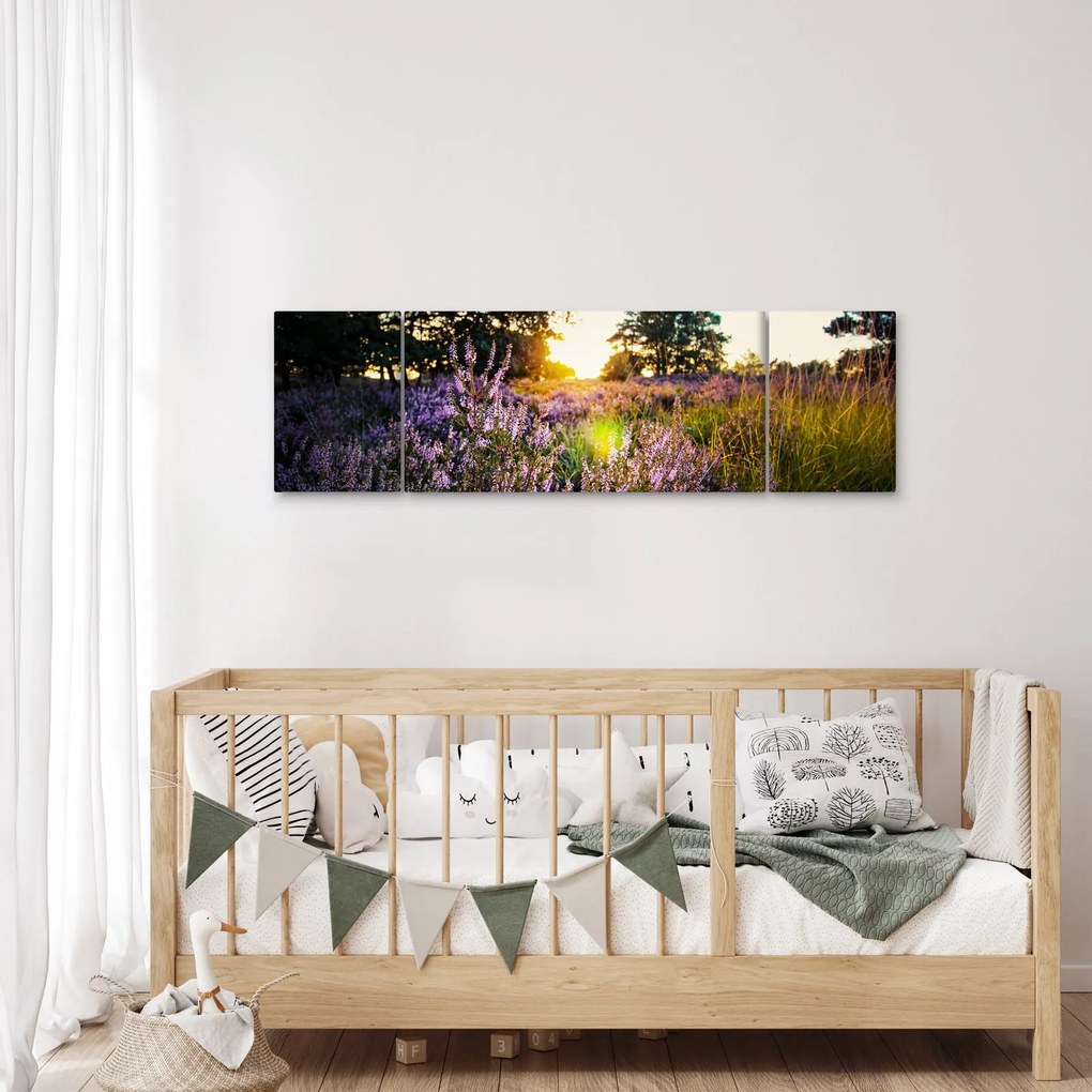 Obraz pola lawendy (170x50 cm)
