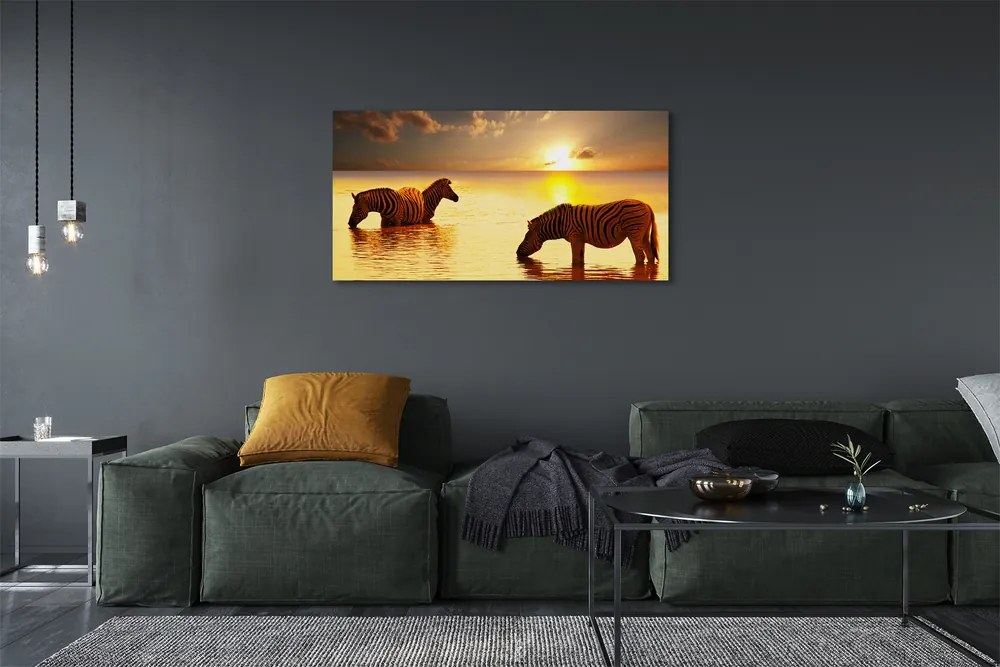 Obraz na płótnie Zebry w Wodzie o Zachodzie Słońca