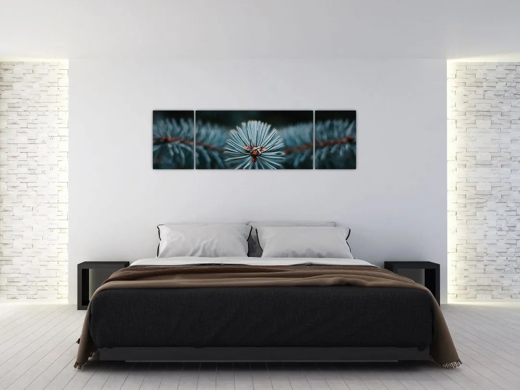 Obraz gałązki drzewa iglastego (170x50 cm)